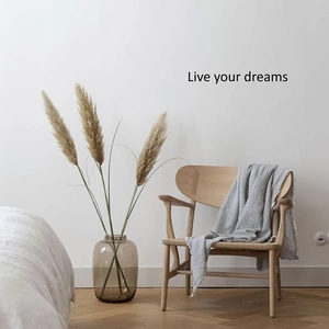 Minimalist 'Live your dreams' black wall sticker for modern bedroom wall decor