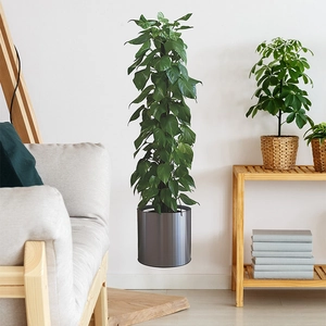 3D Simulated Potted Green Plant Wall Sticker PVC Self Adhesive Greenery Wall Decal For Living Room Bedroom Home Decoration