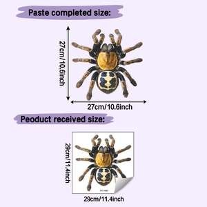 Macro view of lifelike blue and yellow spider wall sticker with size dimensions