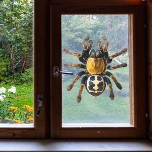 Realistic black and yellow spider window sticker for Halloween home wall decoration