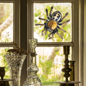 Realistic 3D spider window sticker with yellow body and blue spots for home wall decor