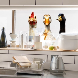 3D realistic farm animal wall stickers featuring a rooster, duck, and goose for window decor