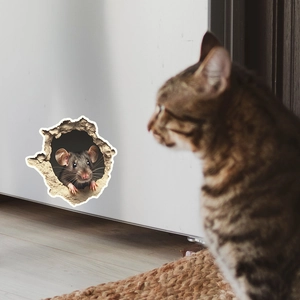 3D hole wall sticker with realistic mouse peering at a cat on a white fridge door