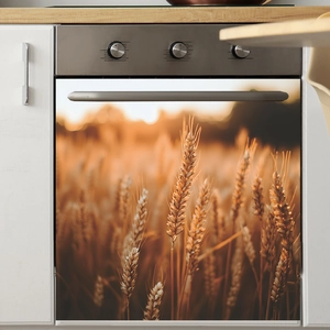 Panneau magnétique pour lave-vaisselle avec paysage de champ de blé doré au coucher du soleil