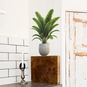 Modern cycad plant wall sticker in a grey ceramic pot for home interior decor