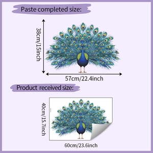 Peacock wall sticker dimensions guide showing 60x40cm sheet and 57x38cm layout size
