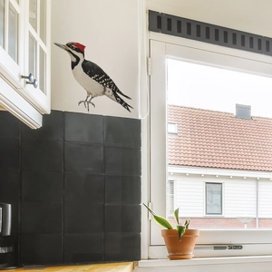 Realistic woodpecker wall sticker decal for minimalist home kitchen or bedroom decoration