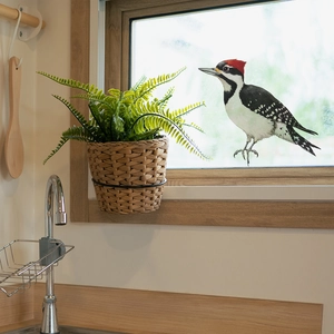 Realistic woodpecker window decal sticker for home kitchen glass decoration