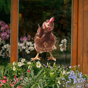 Charming brown hen wall sticker for home decor featuring a realistic chicken head design
