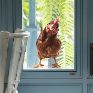 Realistic brown rooster wall sticker with detailed feathers for home window decor