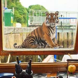 3D realistic tiger wall sticker mural for bedroom and living room home wall decoration