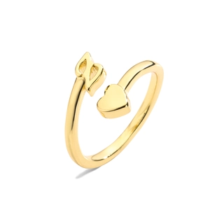 Detalle macro del anillo abierto dorado con corazón sólido y la letra N calada