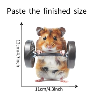 Dimensions détaillées du sticker mural hamster fitness 3D avec mesure de 12cm de haut