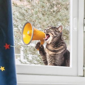 Detail of creative cat with yellow megaphone wall sticker in a bedroom setting