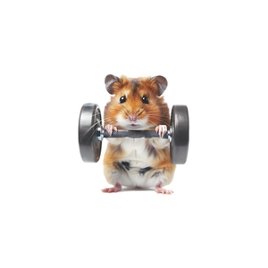 Sticker mural petit hamster avec haltère pour décoration de chambre et de fitness