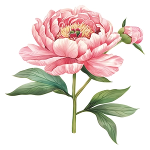 Pink peony wall decal with blooming flowers and green leaves for bathroom decor