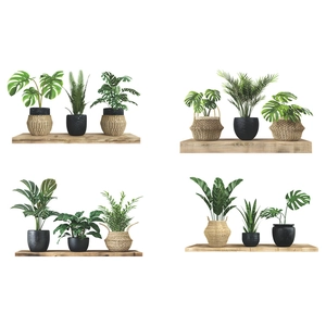 Set of artificial potted green plants on wooden floating shelves for wall decoration