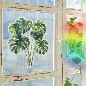 Vue détaillée des stickers Monstera effet laser arc-en-ciel sur une fenêtre en bois