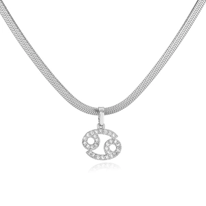 Detailopname van zilveren slangketting met een kristallen Kreeft sterrenbeeld hanger