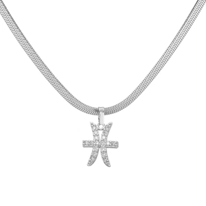 Macro-opname van zilveren Vissen-sterrenbeeldhanger met zirkonia aan een platte slangenketting