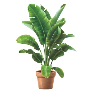 Self-adhesive tropical monstera plant wall sticker in a terracotta pot on white background