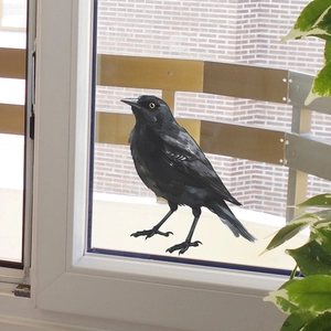 Realistic black bird wall sticker for home decor with detailed feather texture