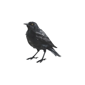 Minimalist black bird wall sticker with yellow eyes for bedroom and living room decor