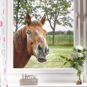 3D static window film featuring a lifelike horse head peeking through a window view