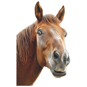 Realistic brown horse head static cling window sticker for creative home decor