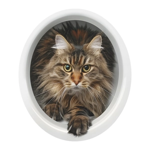Modern white cat hole portal for interior doors with a long-haired cat peeping through