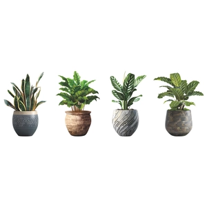 Stickers muraux de plantes en pot créatifs avec verdure variée et pots décoratifs stylés