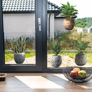 Lot de stickers muraux plantes en pot créatifs avec fougère et sansevieria pour la déco