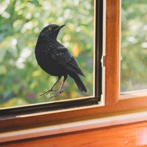 Lifelike black bird window sticker for home glass decoration and bird strike prevention