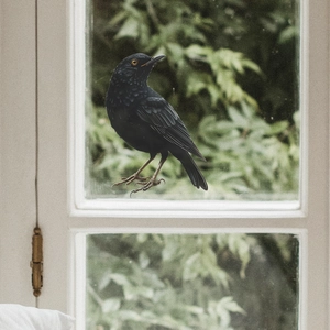 Realistic black bird window decal showing detailed feather texture and anti-collision design