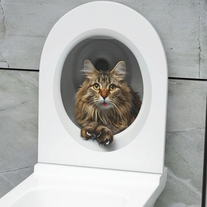 3D realistic brown tabby cat toilet wall sticker with cute peeking and tongue-out effect