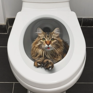 3D realistic brown cat wall sticker for bathroom toilet cover decoration creative mural
