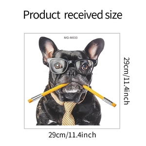Détail des dimensions du sticker chien 29x29cm avec bouledogue français portant des lunettes