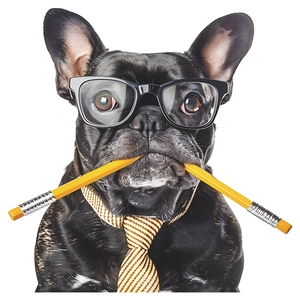 Sticker mural bouledogue français avec lunettes et cravate pour décoration de toilette