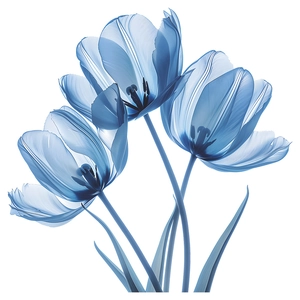 Blue watercolor tulip wall decals for bathroom with X-ray style floral art decoration