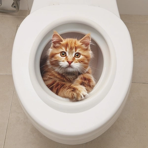 3D realistic orange tabby cat toilet seat sticker made of waterproof PVC material