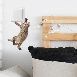 Creative 3D tabby kitten light switch sticker for wall decoration in bedroom or living room