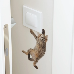 Realistic 3D brown tabby kitten wall sticker jumping toward a light switch plate