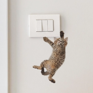 Realistic 3D tabby kitten wall sticker climbing beside a white light switch panel