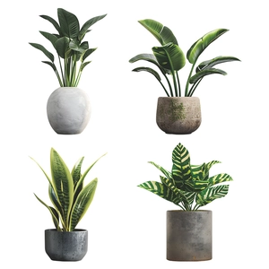 Set of four realistic potted green plants wall decals featuring bird of paradise and snake plant