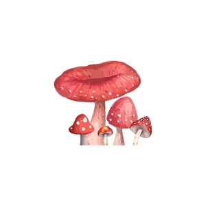 Close-up of mushroom wall stickers showing red cartoon mushrooms with white spots