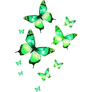 Detail of diverse green glow-in-the-dark butterfly wall stickers with realistic textures