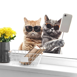 Detailansicht von 3D-Katzen-Wandtattoos mit Sonnenbrille, die ein Selfie am Fenster machen