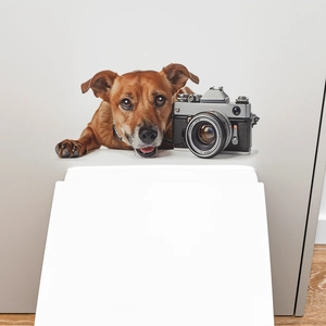 Detailed realistic wall sticker showing a cute puppy with a vintage camera design