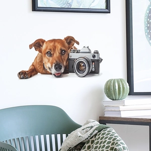 Detail of creative dog and vintage camera wall sticker in a cozy living room scene
