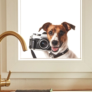 Realistic Jack Russell terrier dog sticker with vintage camera on a glass window surface